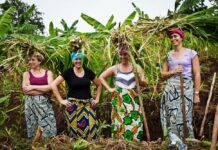 Gorilla Safari and Azizi Life Experience Rwanda Cultural Tours