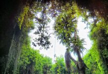 Best Tourist Attractions not to Miss in Rwanda 2022