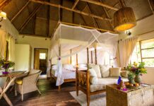 Volcanoes Safaris: Luxury Lodges in Rwanda and Uganda